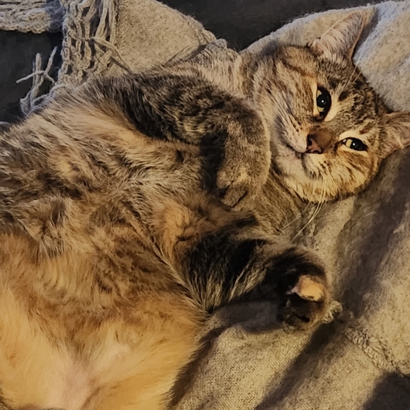 Intention jars - Picture 8 of 17